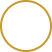 Icon Shield